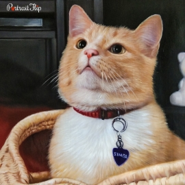 Picture of a woman with wings and golden ring above her head which is categorized under cat portraits