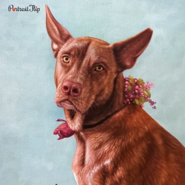 Portrait of a dog that is categorized under cow portraits