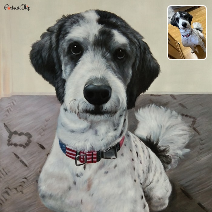 Picture of a bordoodle dog which is converted into dog portraits