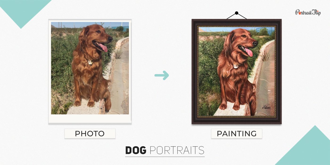 hoto of a golden retriever sitting on a side fence of the road which is converted into dog portraits