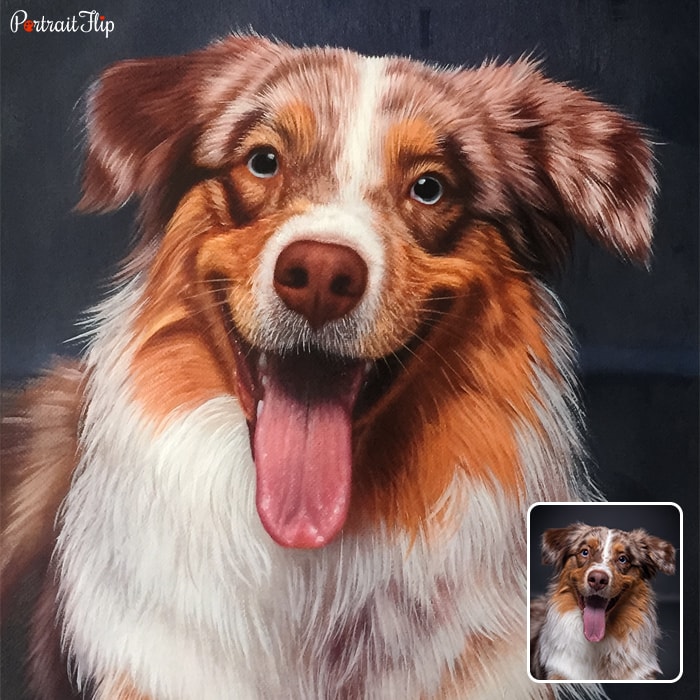 Pet portraits of a dog’s close-up face with his tongue out