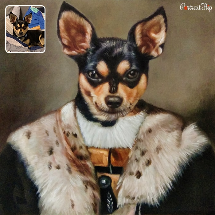 Royal Pet Portrait