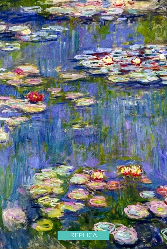 water lilies
