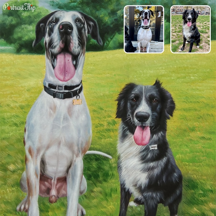Picture of two dogs sitting in the background with grass that is compiled as dog portraits