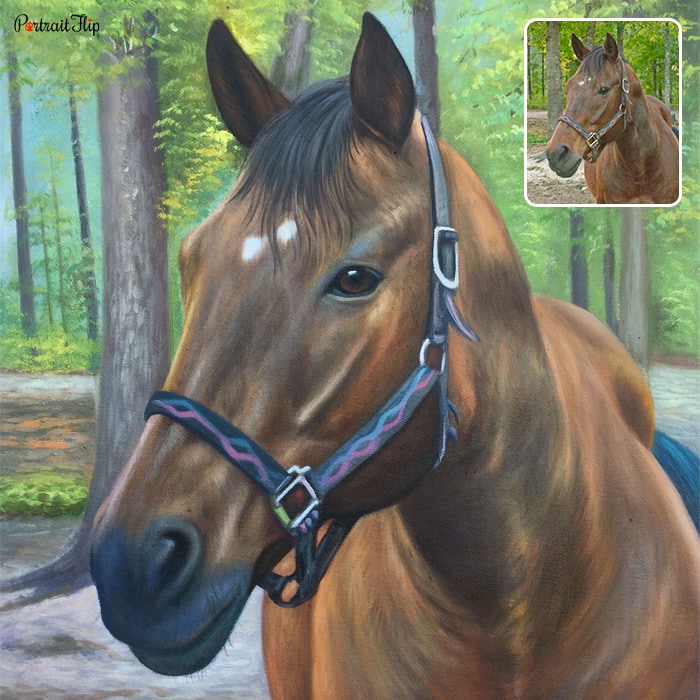 Close up of a horse face which is converted into a horse portraits