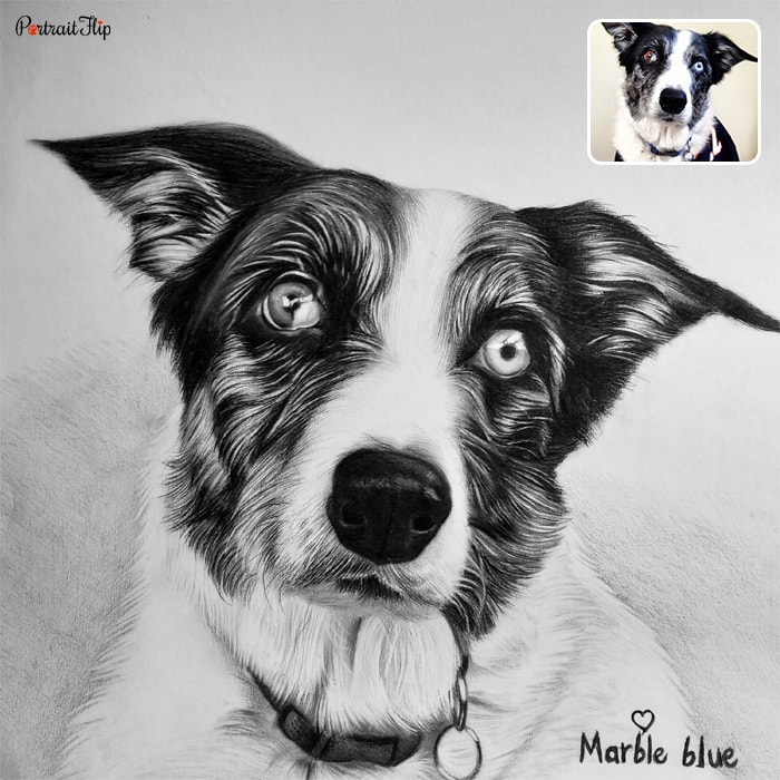 Paintings of a dog’s close-up face