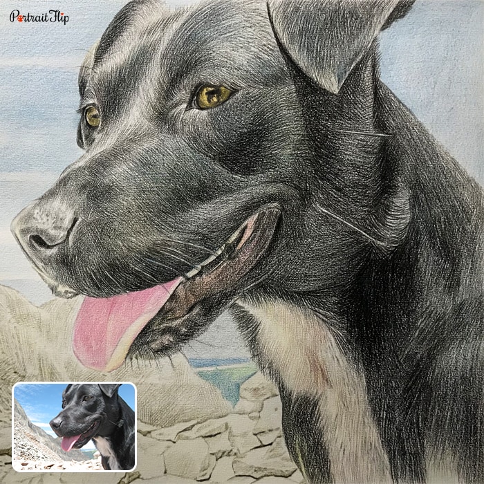 Close-up painting of a dog’s face