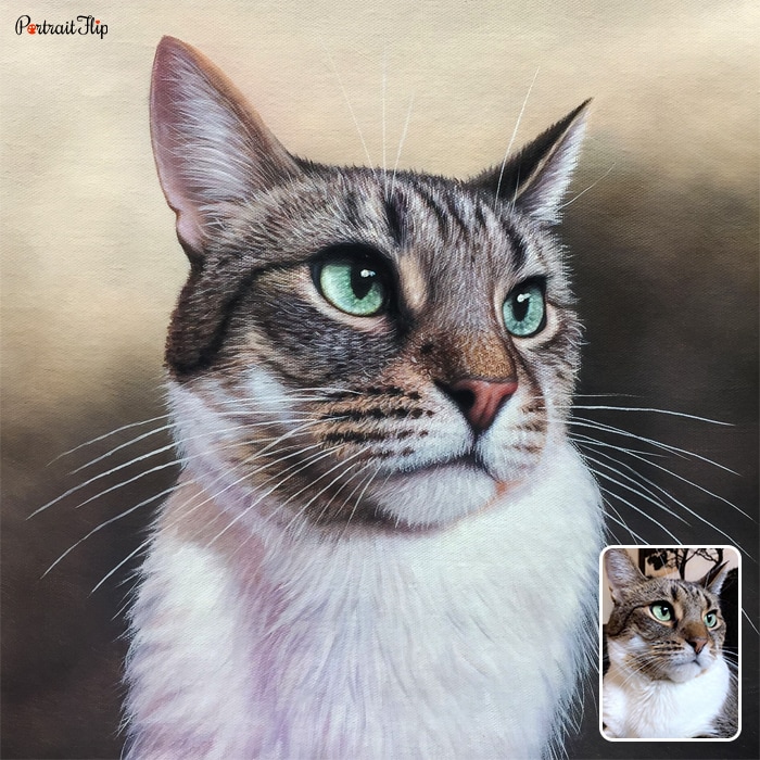 Picture of a cat’s face which is converted into oil paintings