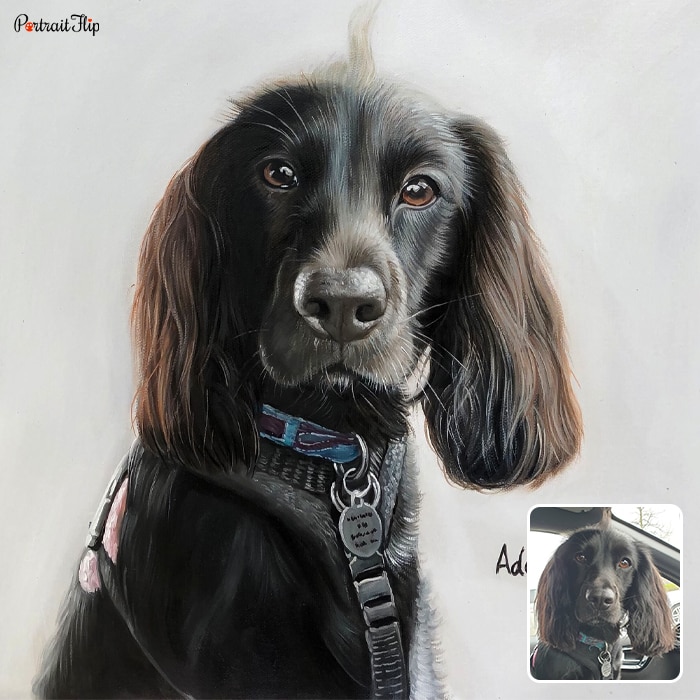 Picture of a dog’s face that is converted into oil paintings