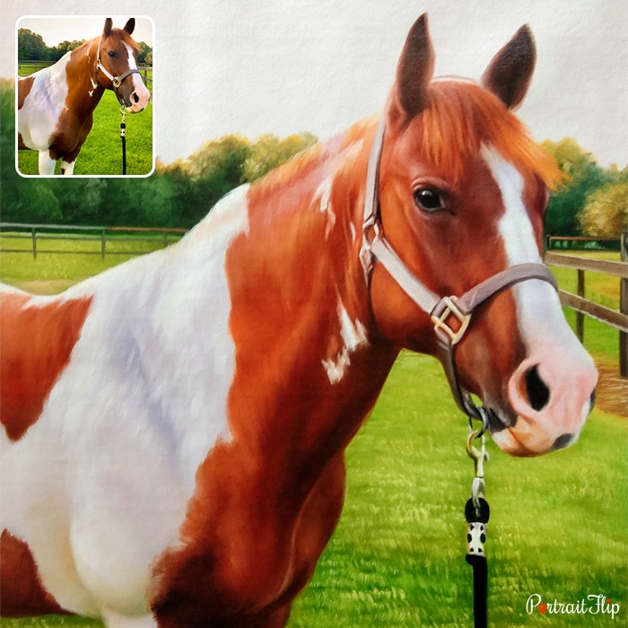 Oil paintings of a horse standing in a field with wooden fence around