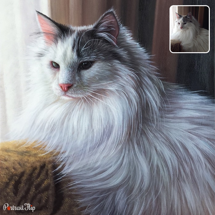 Picture of a cat that is converted into oil paintings