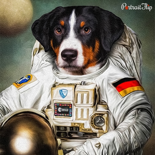 Space Traveler