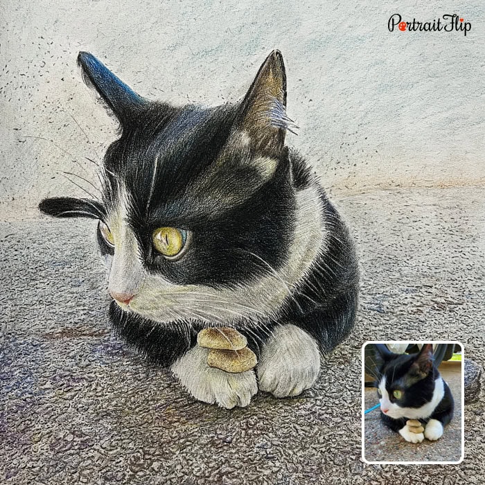 cat colored pencil painting