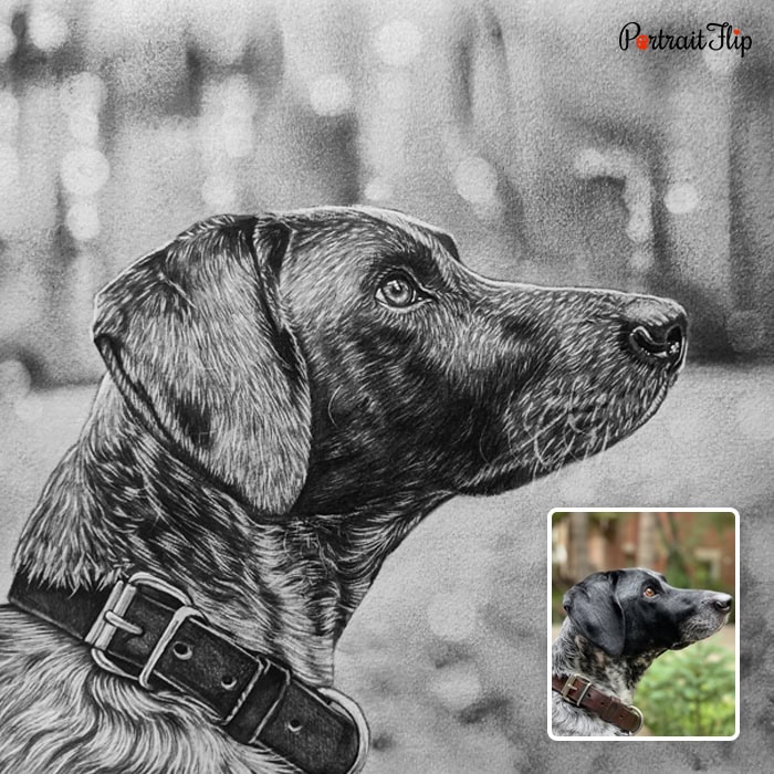 dog charcoal painting