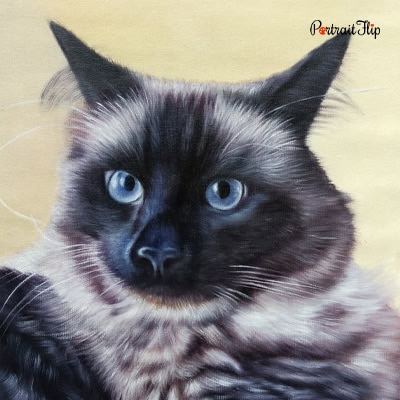 Cat Acrylic Paintings